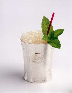 The Perfect Mint Julep Cocktail Photo