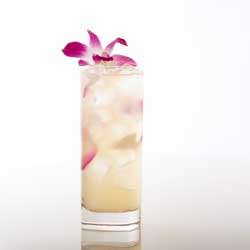 Gvine Orchid Cocktail Photo