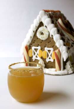 Gingerbread Apple Cocktail Cocktail Photo
