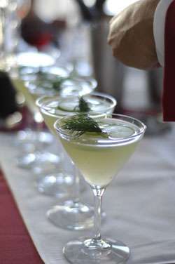 Real Dill Cocktail Photo