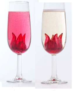 Classic Wild Hibiscus Champagne Cocktail Cocktail Photo