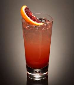 Blood Orange Collins Cocktail Photo