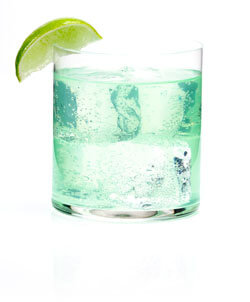 Military Chic Cocktail Photo