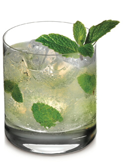 Moon Mountain Mother Earth Mint Cocktail Photo