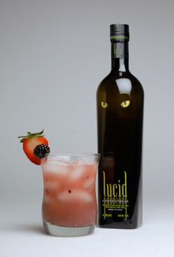 Red, White, and B-Lucid Punch photo