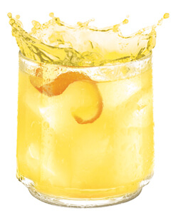 Malibu Liquid Sunshine Cocktail Photo