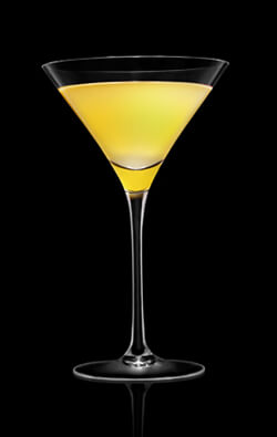 Grand Marnier Sour Cocktail Photo