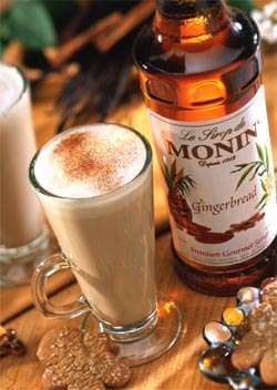 Monin Gingerbread Syrup Photo