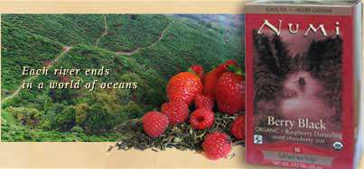 Numi Organic Berry Black Darjeeling Tea Photo