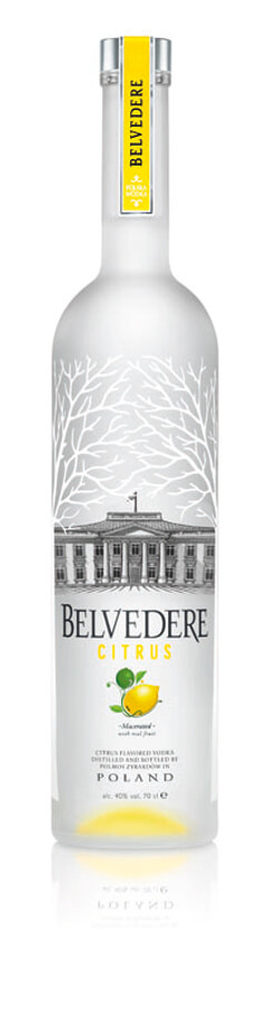 Belvedere Citrus Vodka Photo