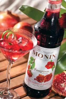 Monin Pomegranate Syrup Photo