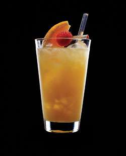 ABSOLUT Montecito Cocktail Photo