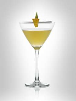 Level Martini with Pineapple Martini Photo