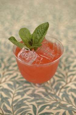 Hendrick's Strawberry Jive Cocktail Photo