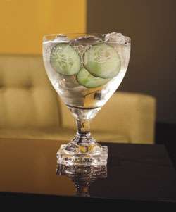 Hendrick's Gin and Tonic Cocktail Photo
