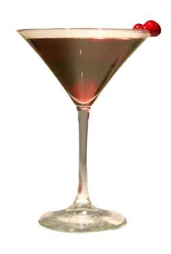 Cranberry Spice Martini Photo