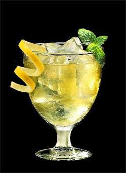 Lemon Istini Martini Photo