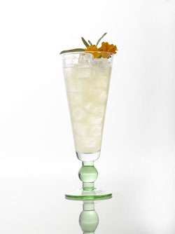 The Lemon Peel Cocktail Photo