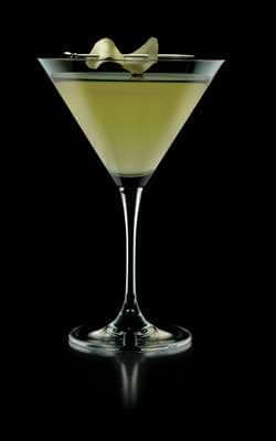 Classic Ginger Martini Martini Photo