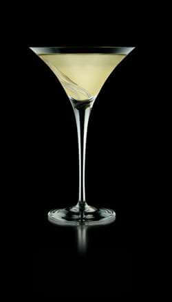 French Ginger Martini Martini Photo