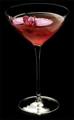 TY-quila Sunrise Martini Photo
