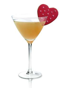 Ty Ginger Crush Martini Photo
