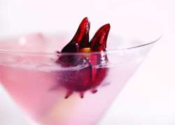 Wild Hibiscus Embrace Martini Photo