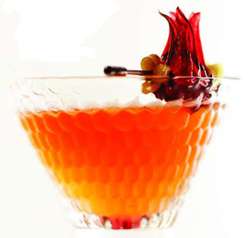 Wild Hibiscus Rooibos Evolution Cocktail Photo