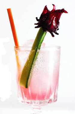 Wild Hibiscus Cu-Cu for You Cocktail Photo