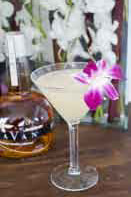 Navan Orchid Martini Martini Photo