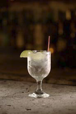 Cruzan Light and Tonic Cocktail Photo