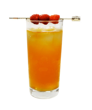 Basil Hayden's Refund Spice Cocktail Photo