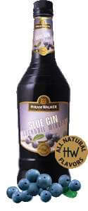 Hiram Walker Sloe Gin Photo
