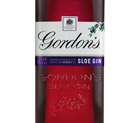 Gordon's Sloe Gin Photo