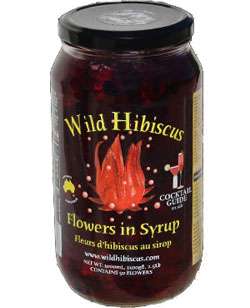 Wild Hibiscus Flower Photo