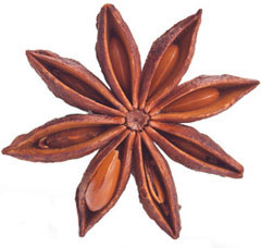 Star Anise Photo